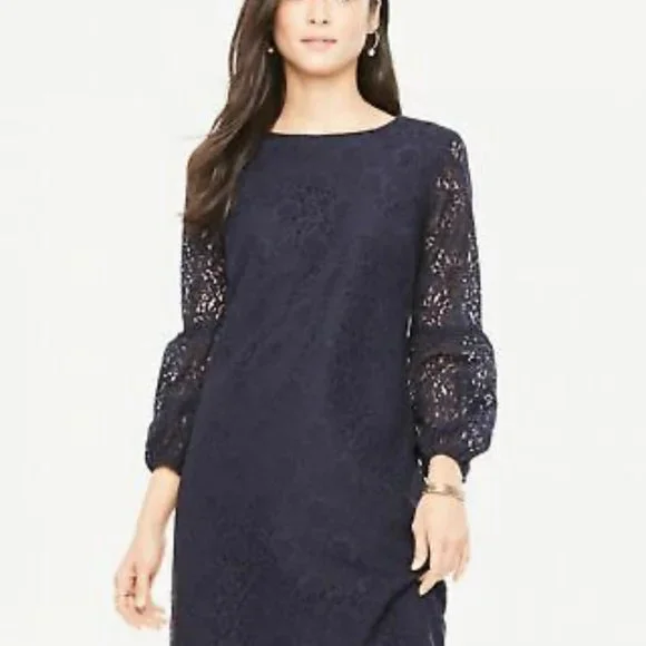 Ann Taylor Lace dress in Navy Blue